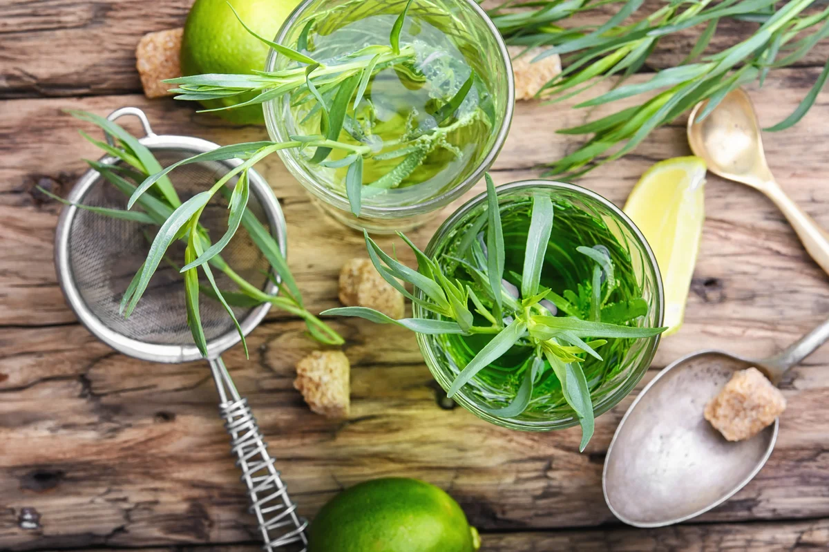 Tarragon cocktail