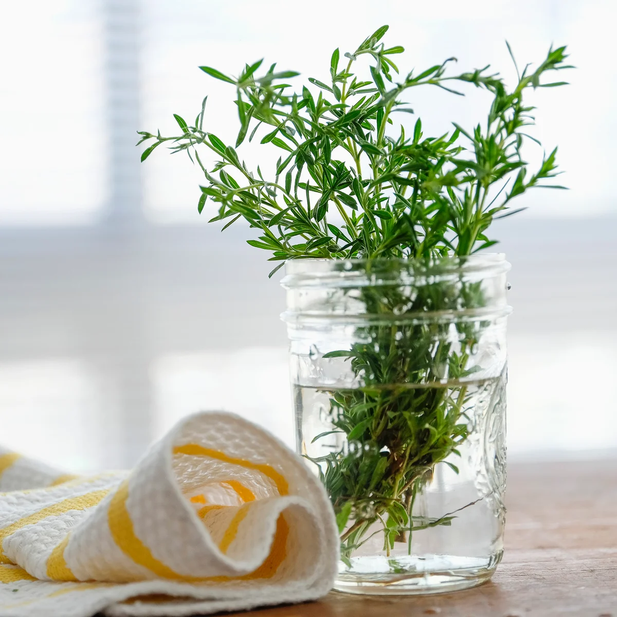 Herb-infused liquor
