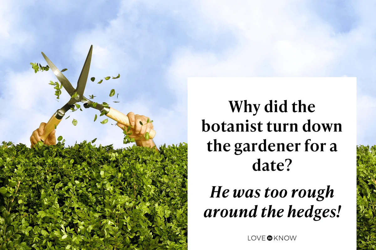 Silly & Smart Spring Puns That Will Have You Buzzing With Laughter