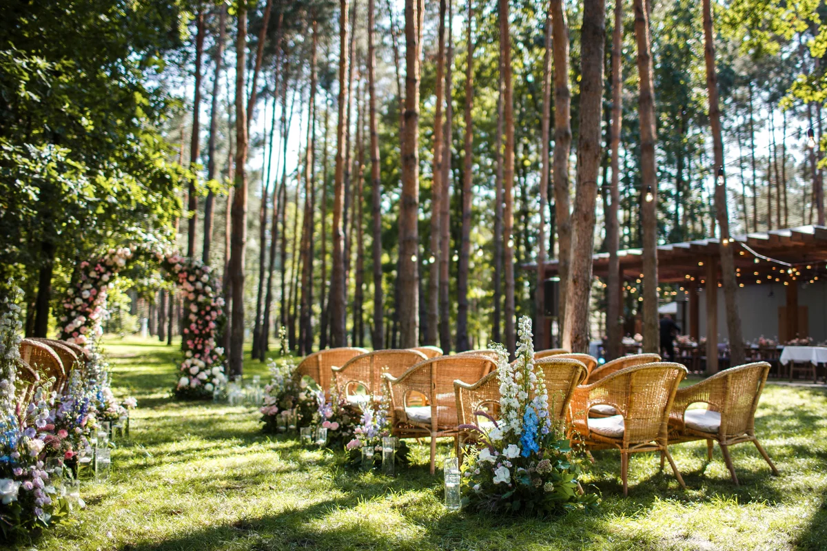 Wedding in the trees