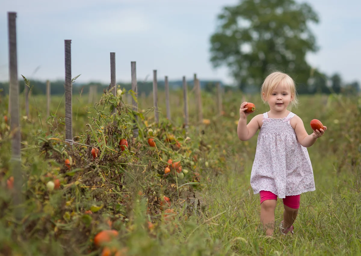 little girl with tomatoes