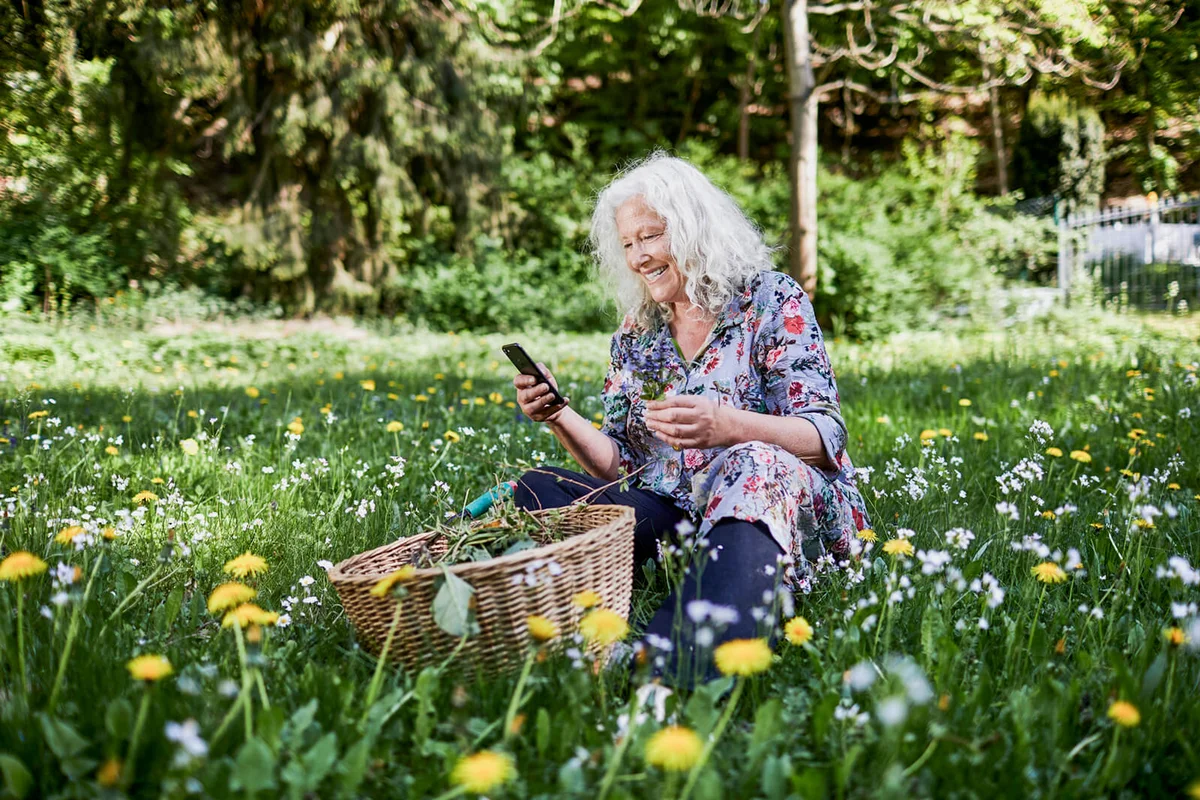 Smiling senior woman sitting in meadow in garden holding smartphone and flower