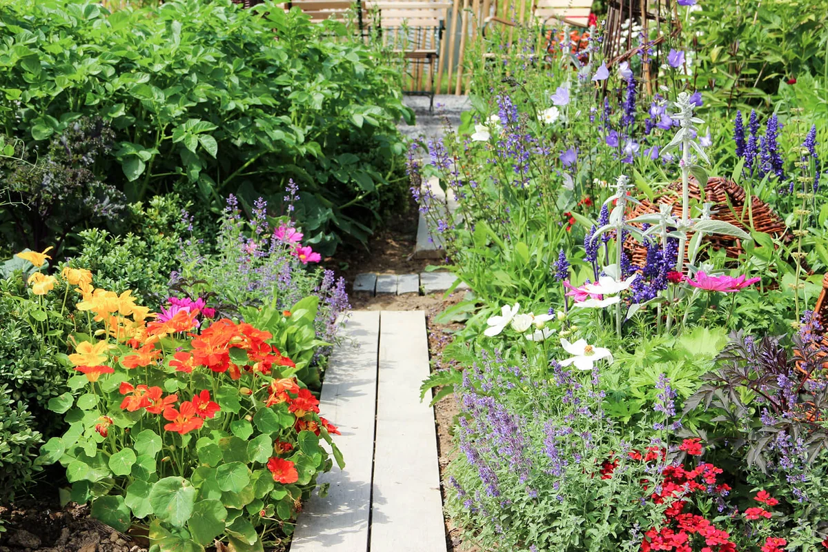 Herb, vegetables and flower garden