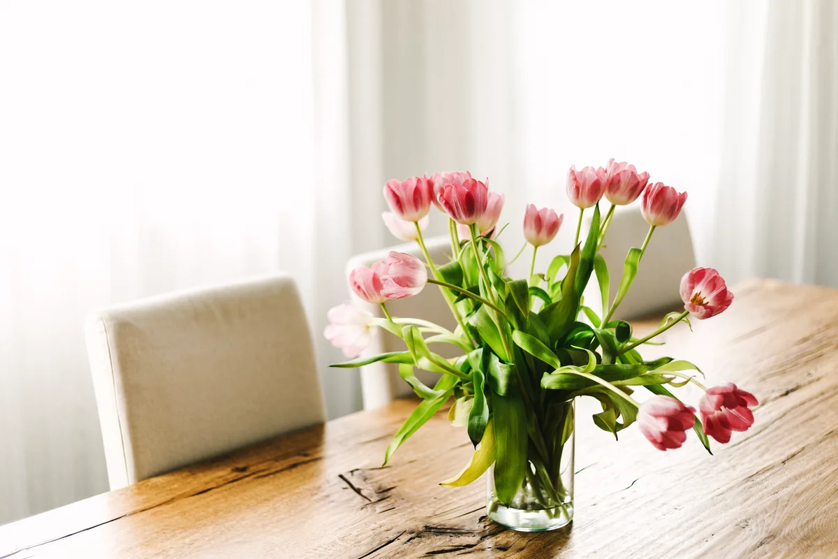 tulips in vase