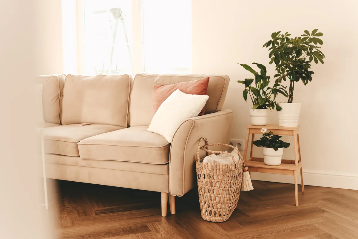 neutral colored living room