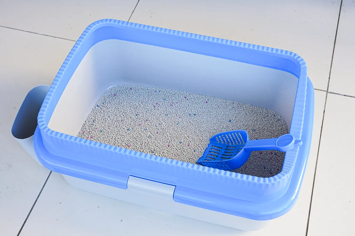 clean litterbox