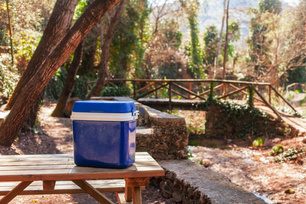 picnic cooler in the woods