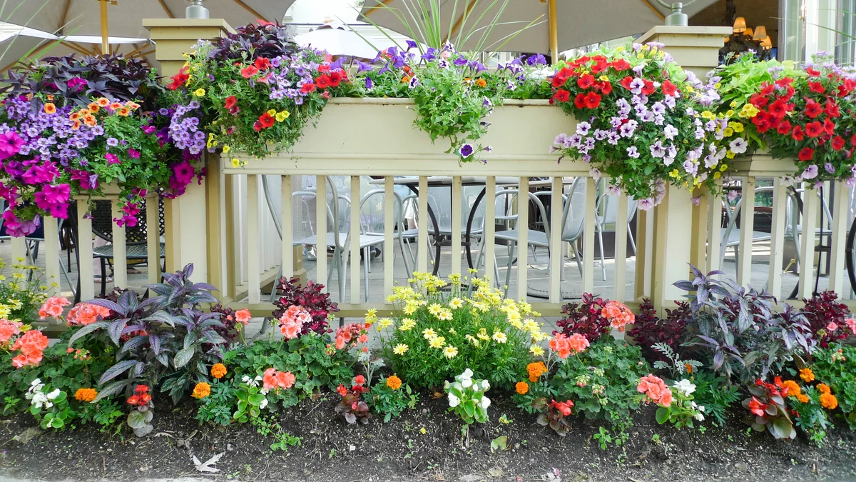 Porch with natural colorful flowers