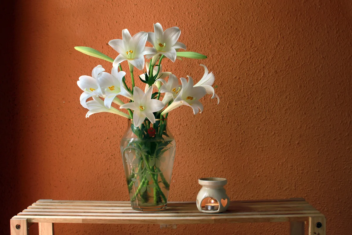 Vase of Easter lilies