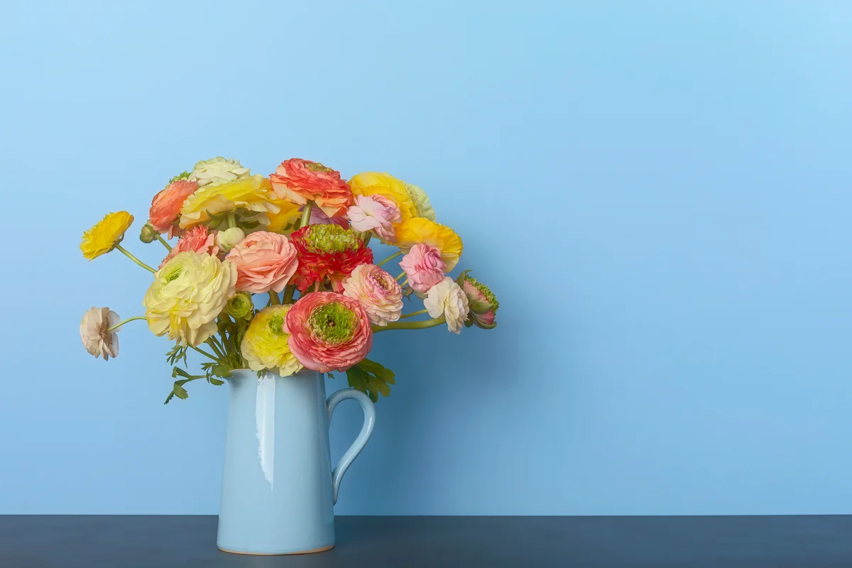vase of ranunculus