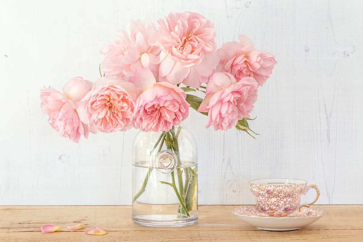 English roses