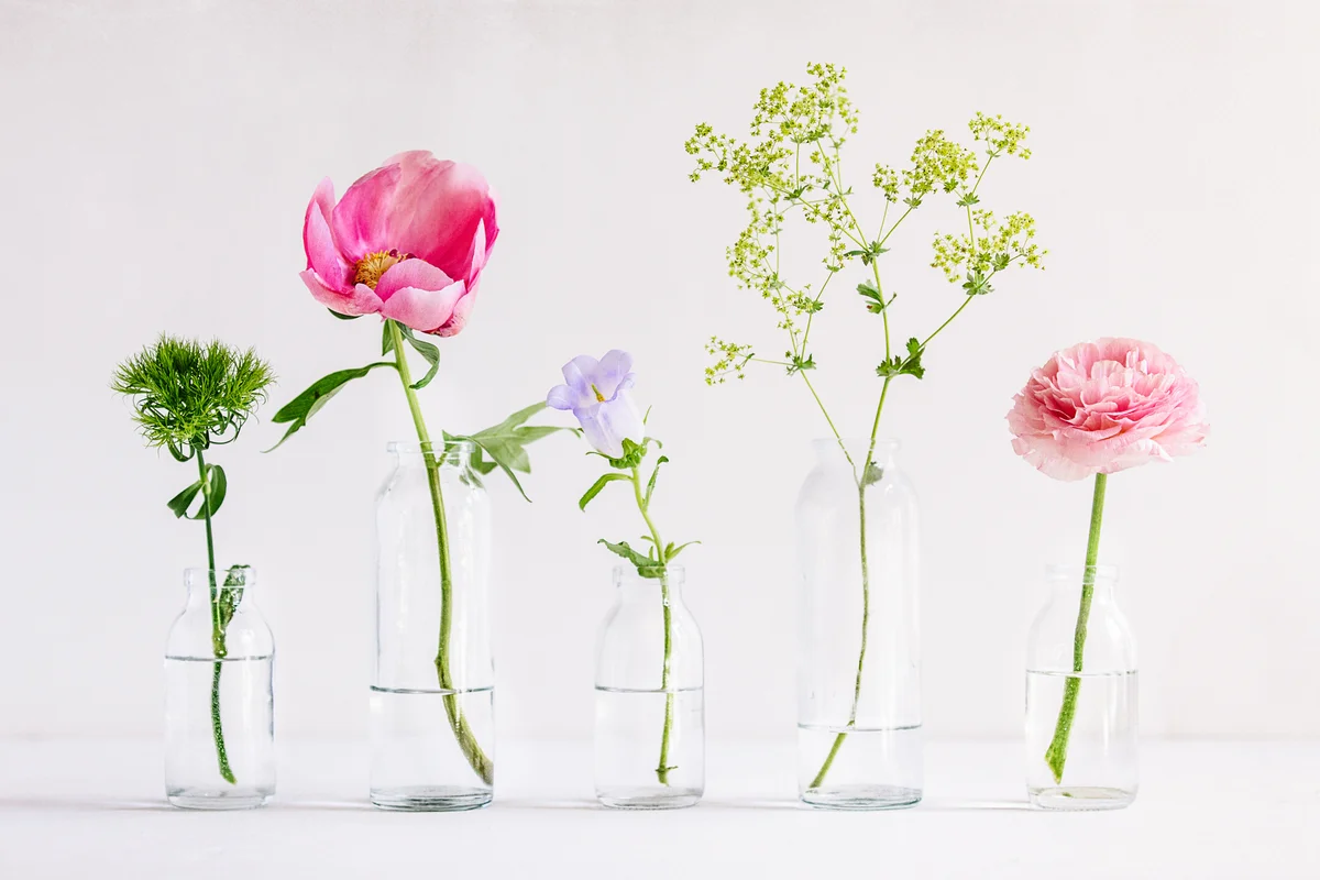 spring flowers in glass bottles