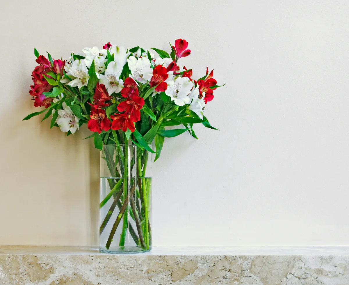 Red and white flowers on a marble mantel