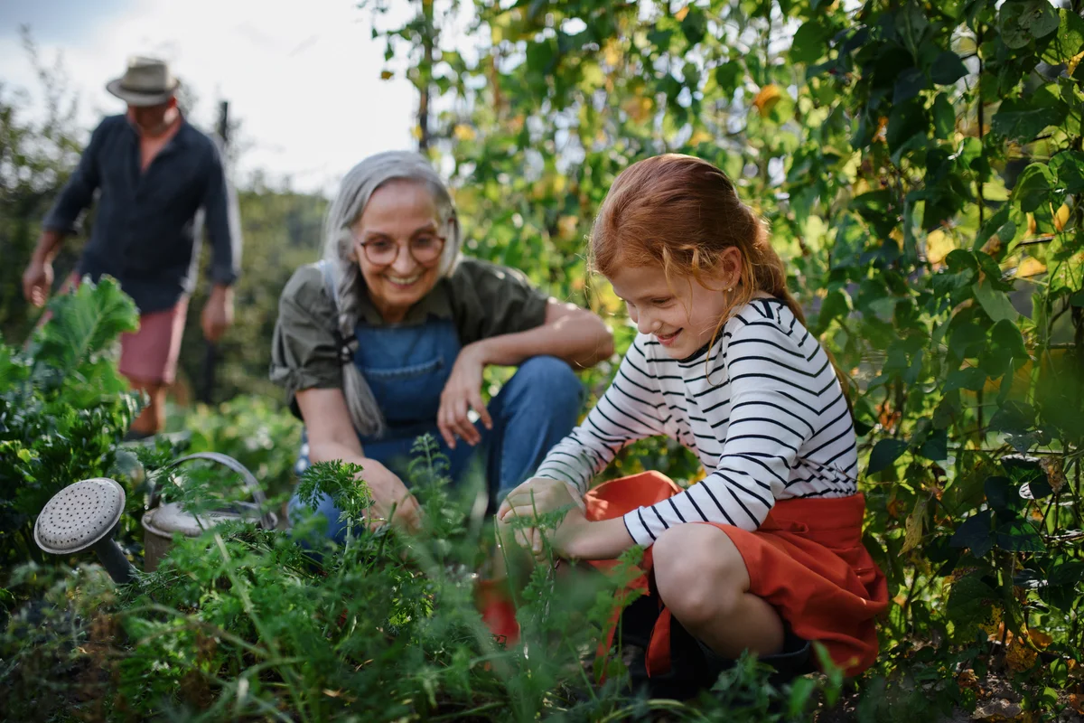 girl gardening with grandparents
