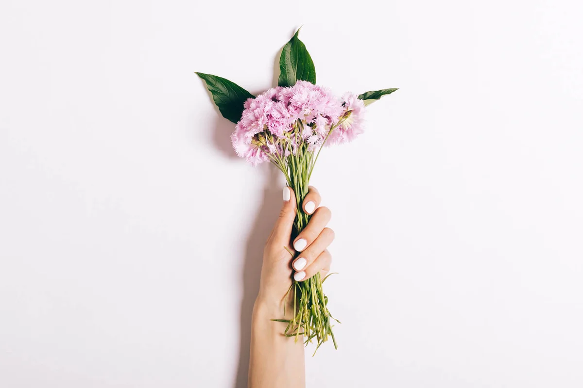Small bouquet of pink carnations in a female hand