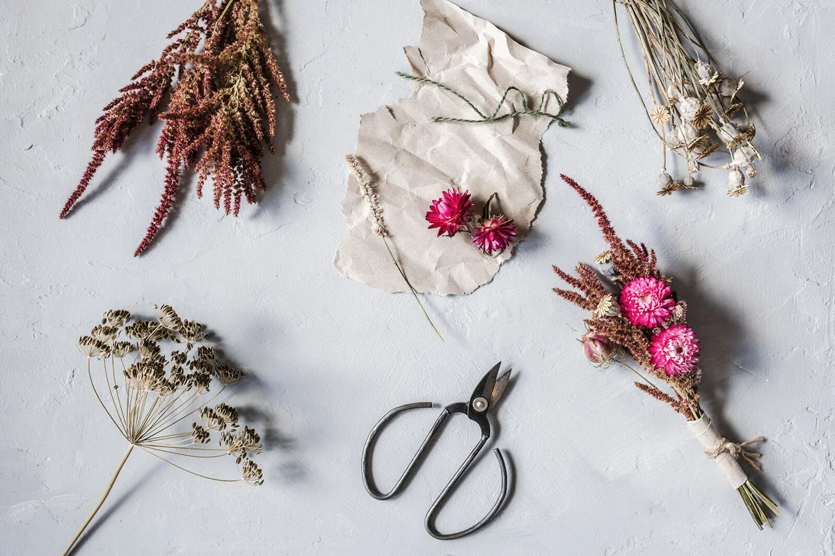 Studio shot of scissors, piece of paper and various dried flowers