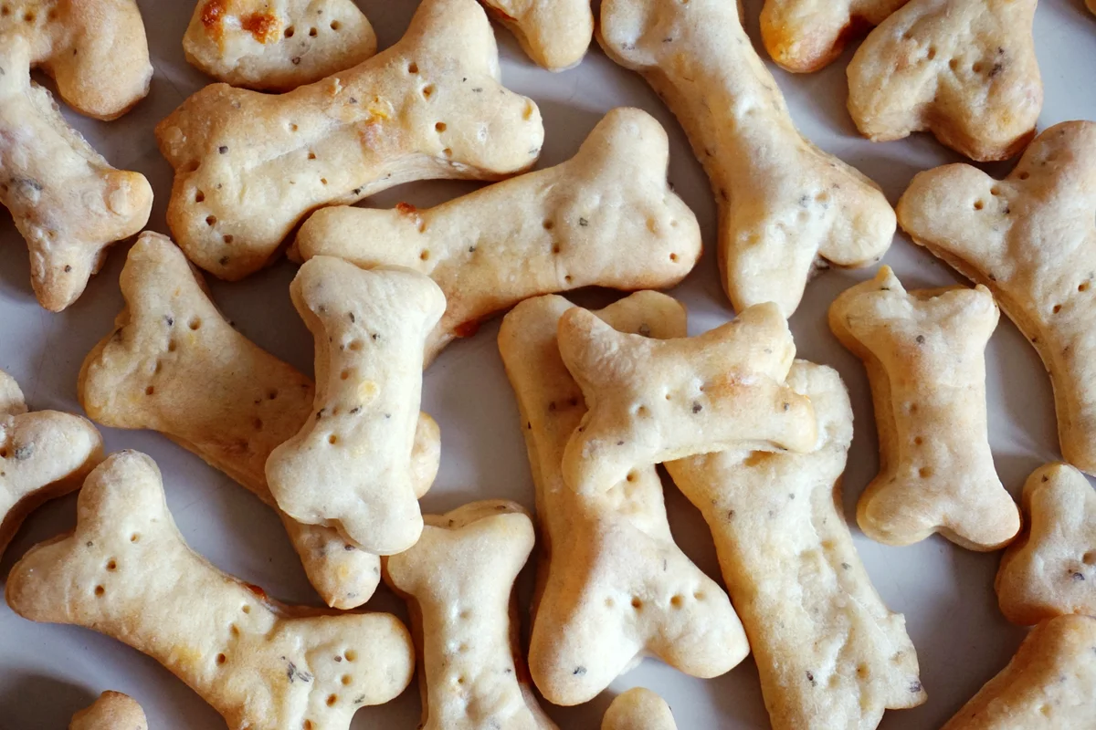 Carrot and cheese dog biscuits