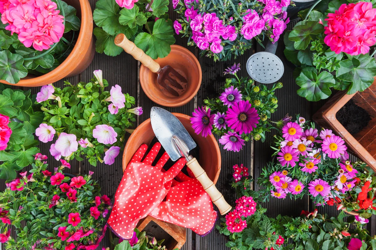 spring gardening