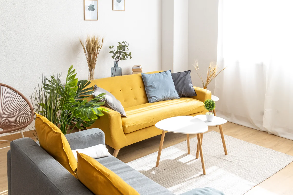 yellow sofa