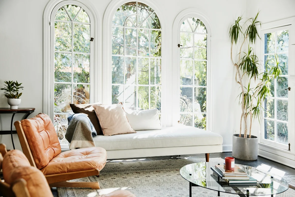 natural light in living room