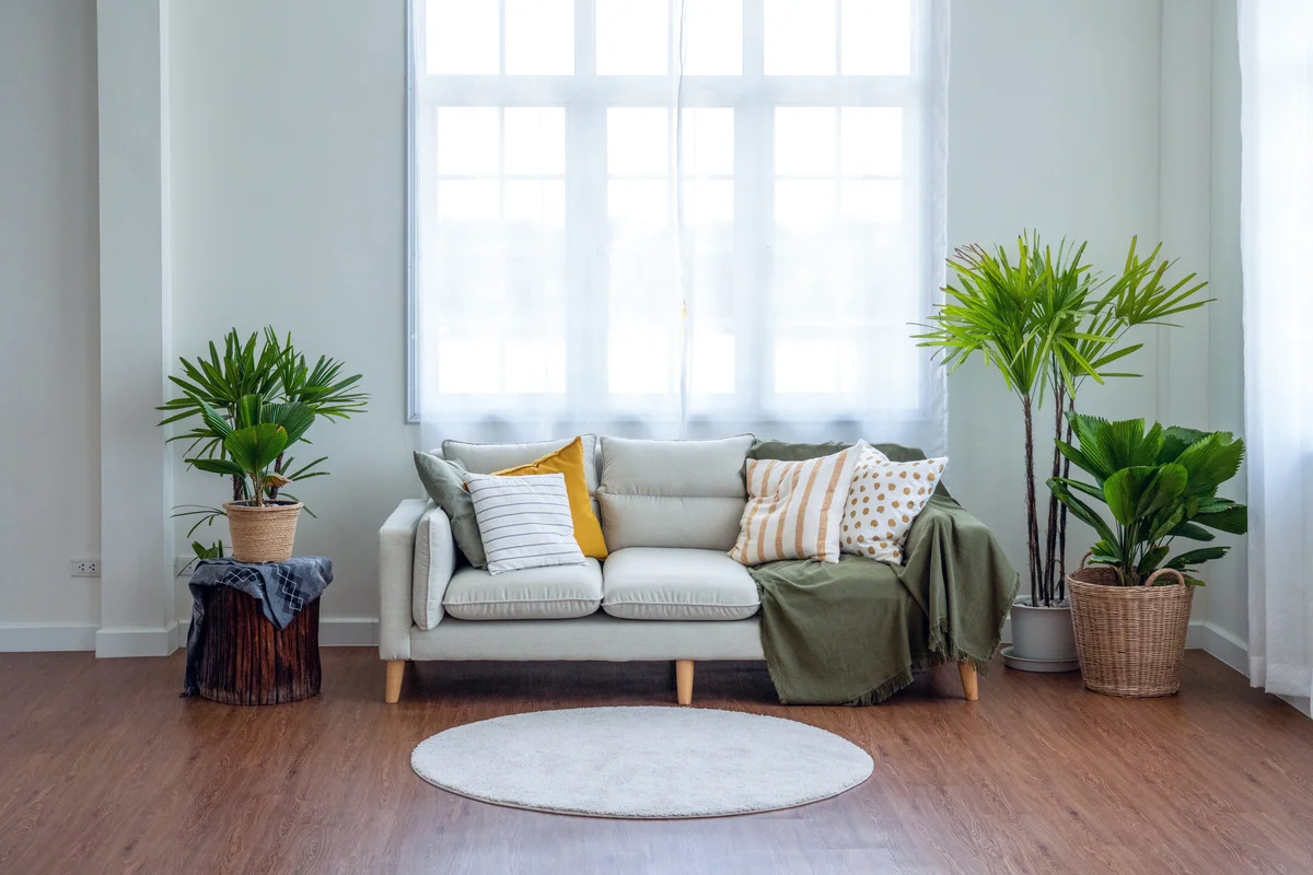 decorating with plants