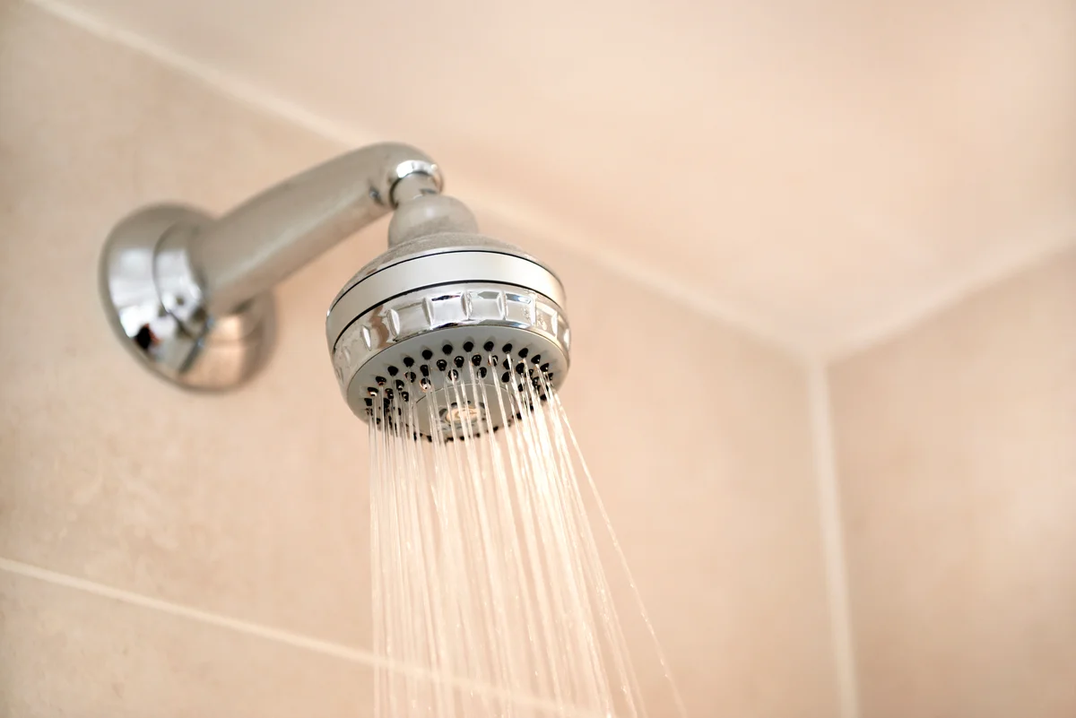 shower head