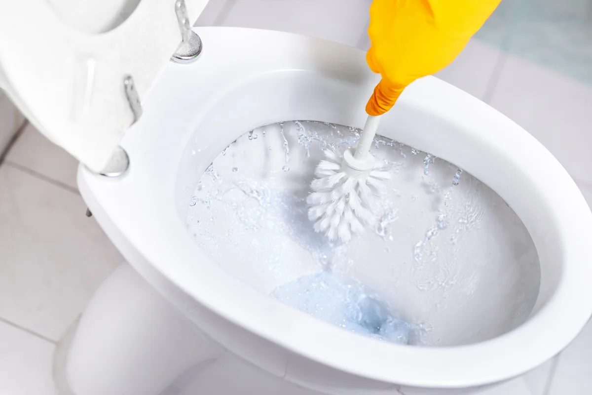 clean toilet
