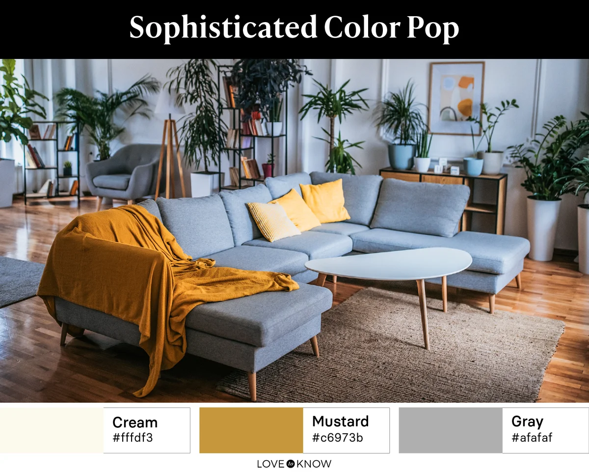 Sophisticated Color Pop