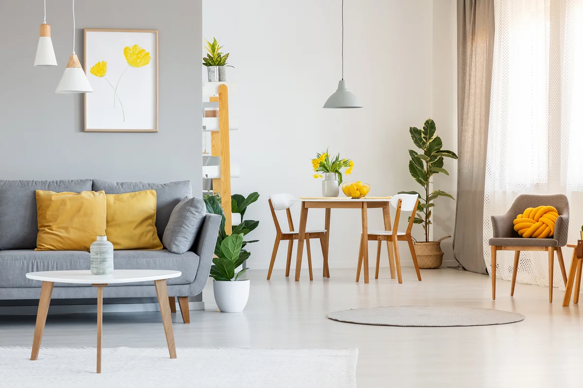 Open space living and dining room interior
