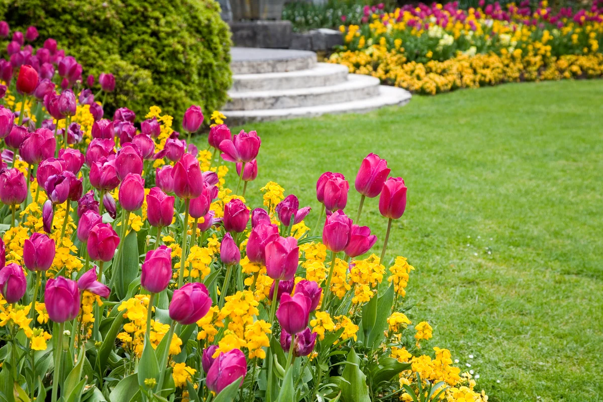 spring flowers