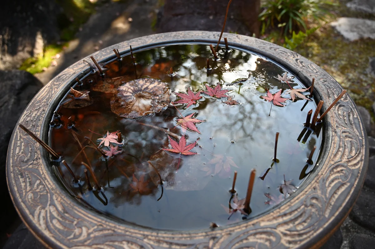 bird bath