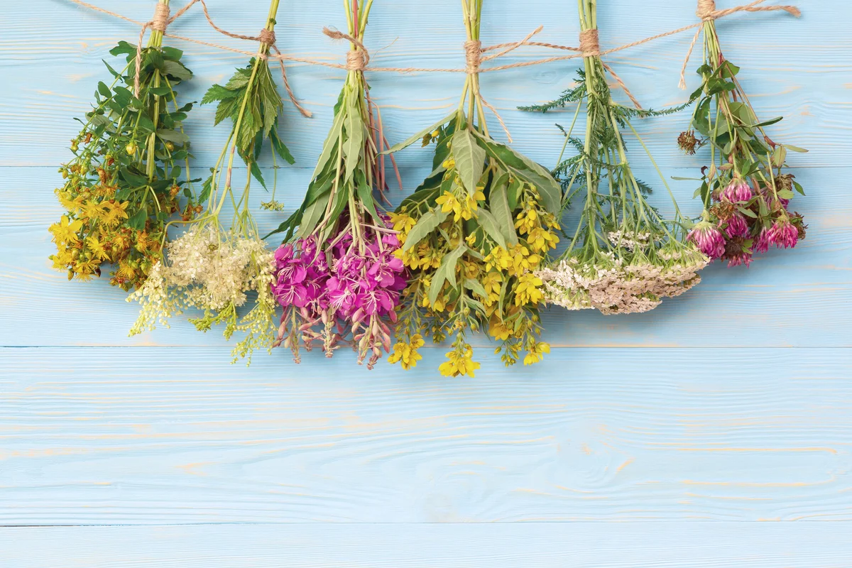 dried herb bundles