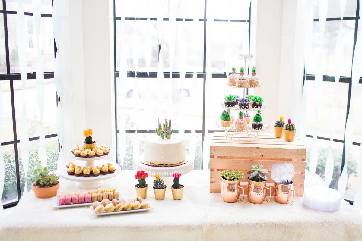 succulents & desserts