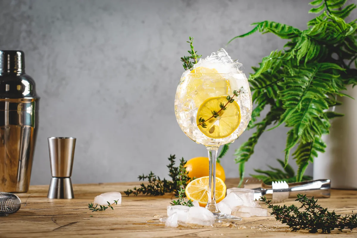 vermouth & tonic cocktail