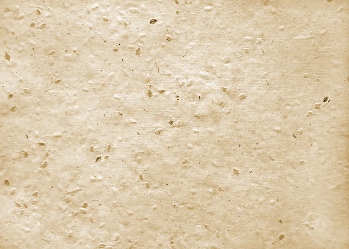 seed paper
