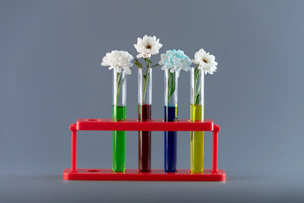 flower science experiment