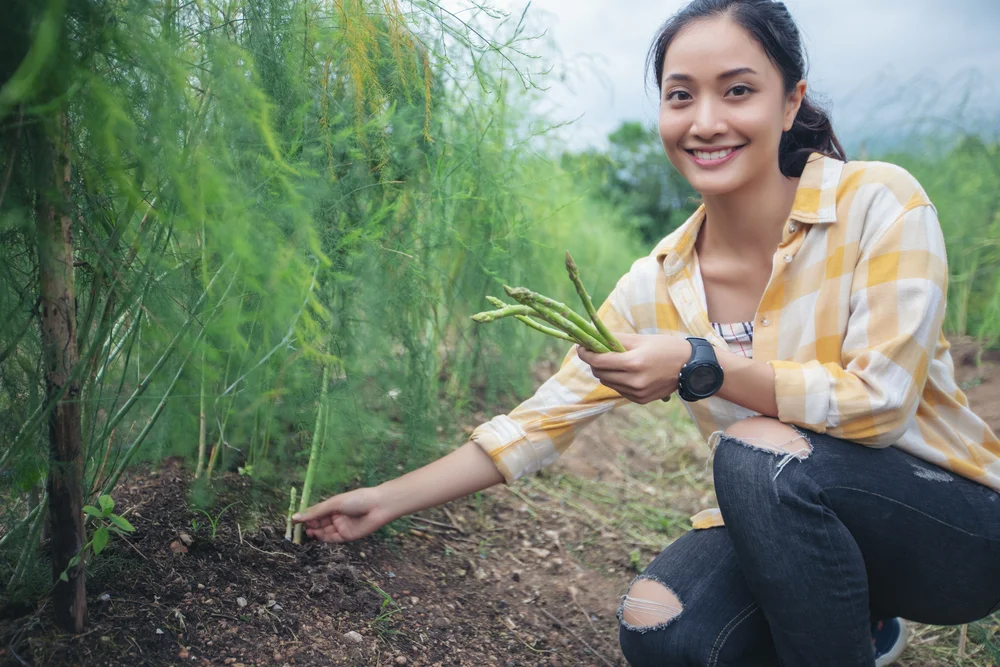The 9 Asparagus Companion Plants Every Gardner Should Know