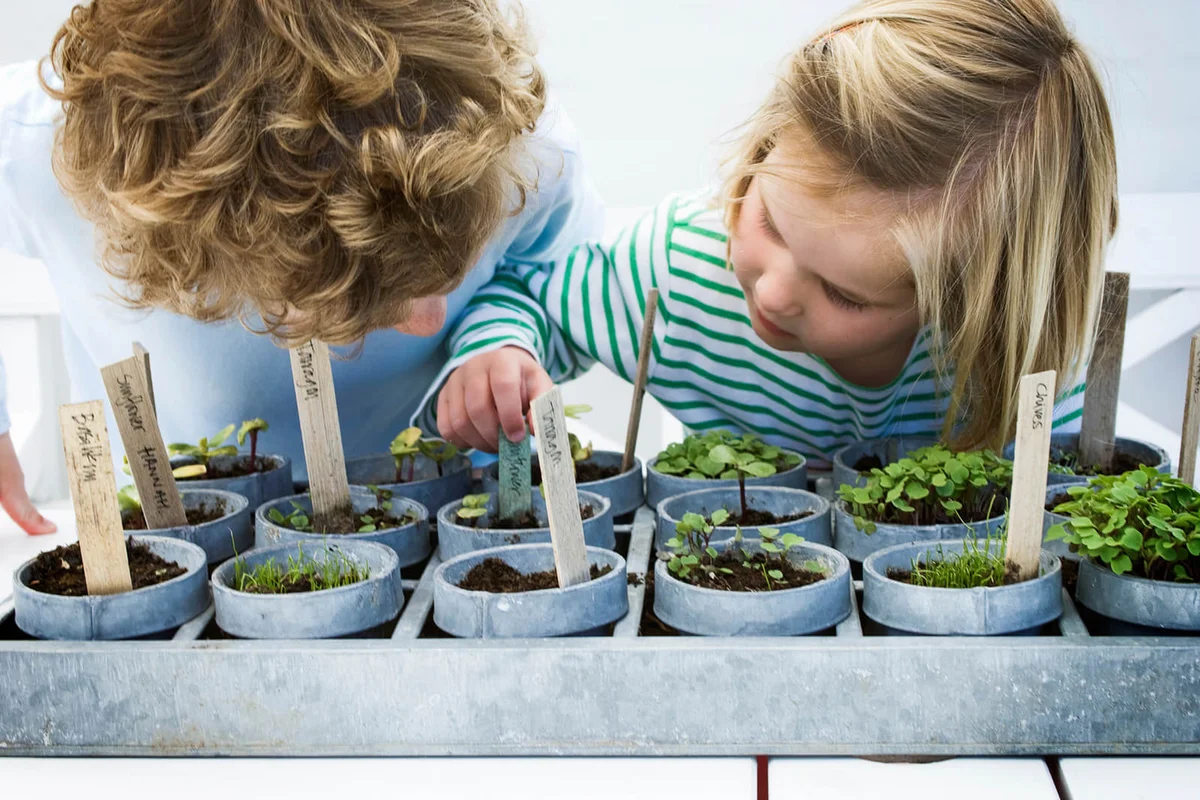Children looking at mixed potted seedlings