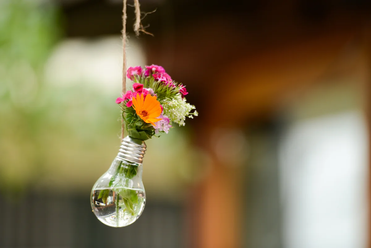 colorful flowers