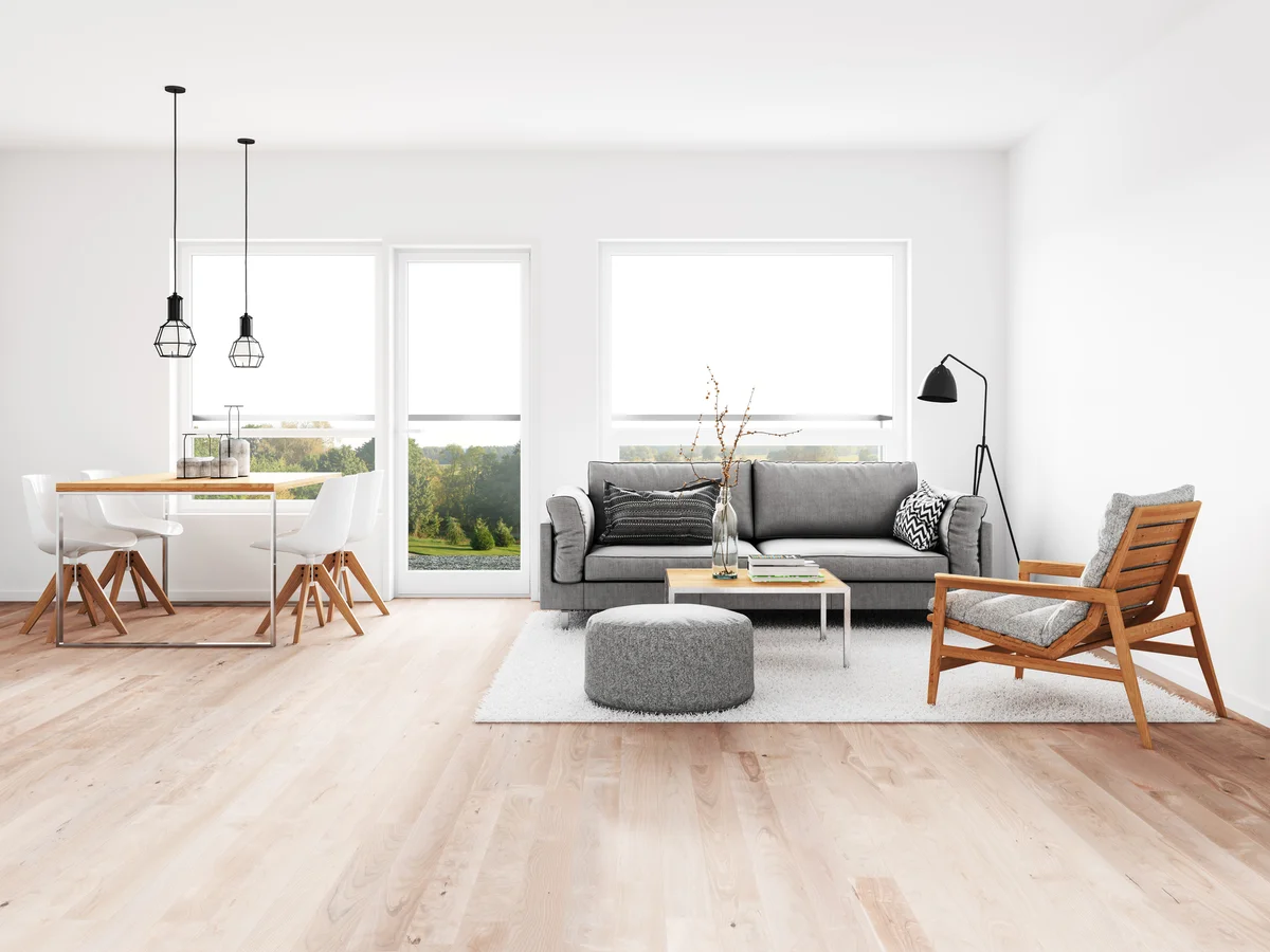 Modern minimalist living room