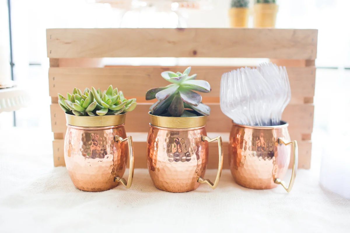 succulents in copper mule cups