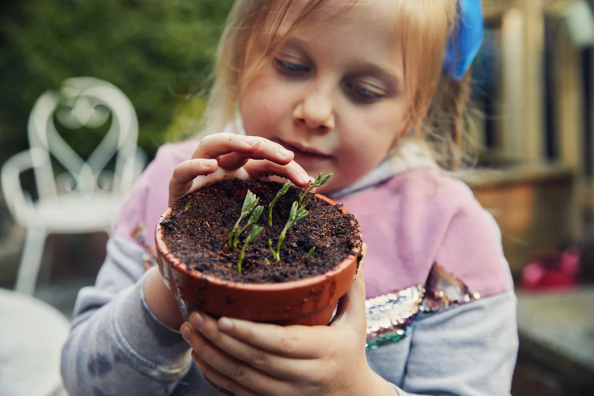 little girl planting seedlings
