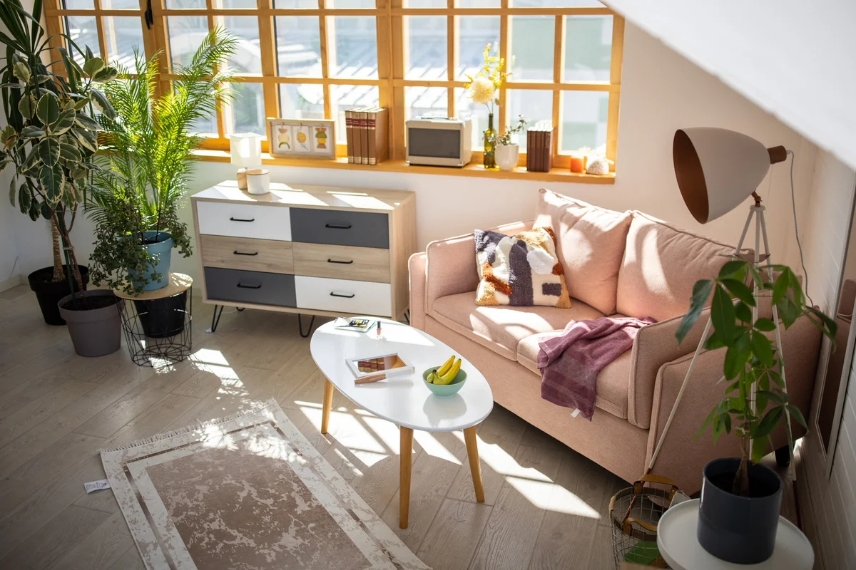 plants in living room