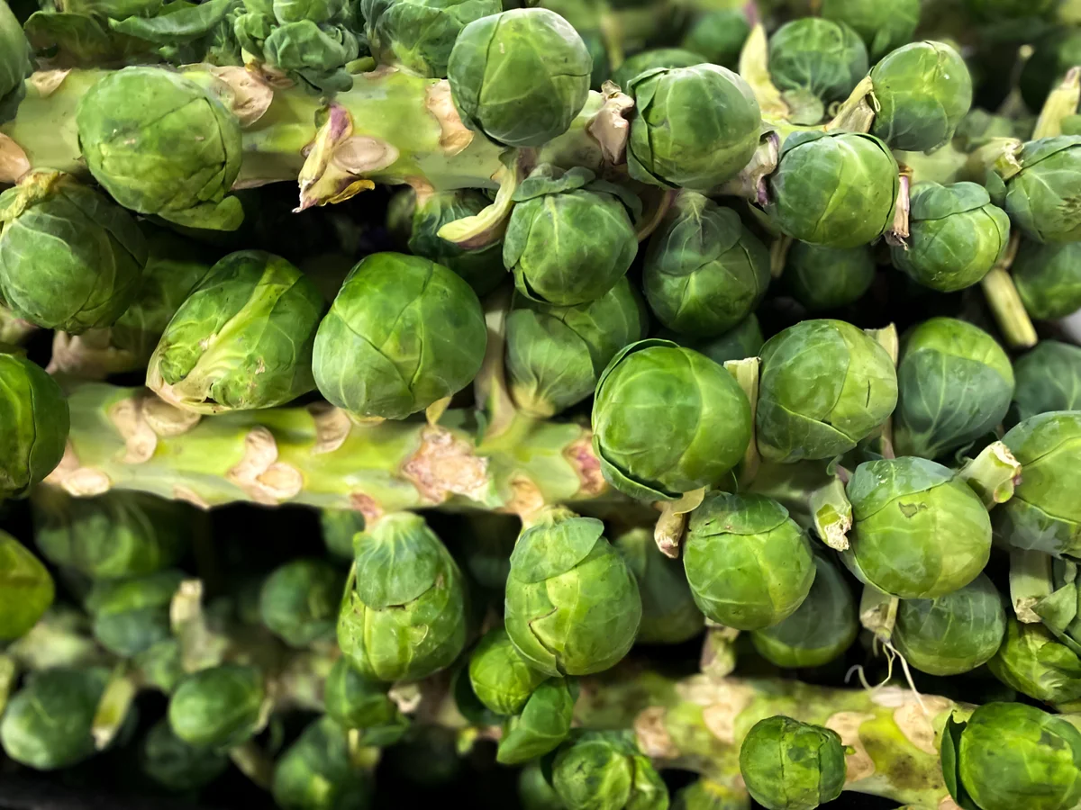 stalks of brussels sprouts