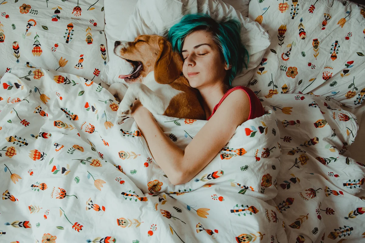 Girl and beagle spooning asleep