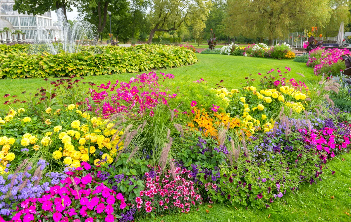 Colorful cottage garden