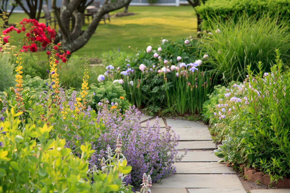 Cottage garden with pathway