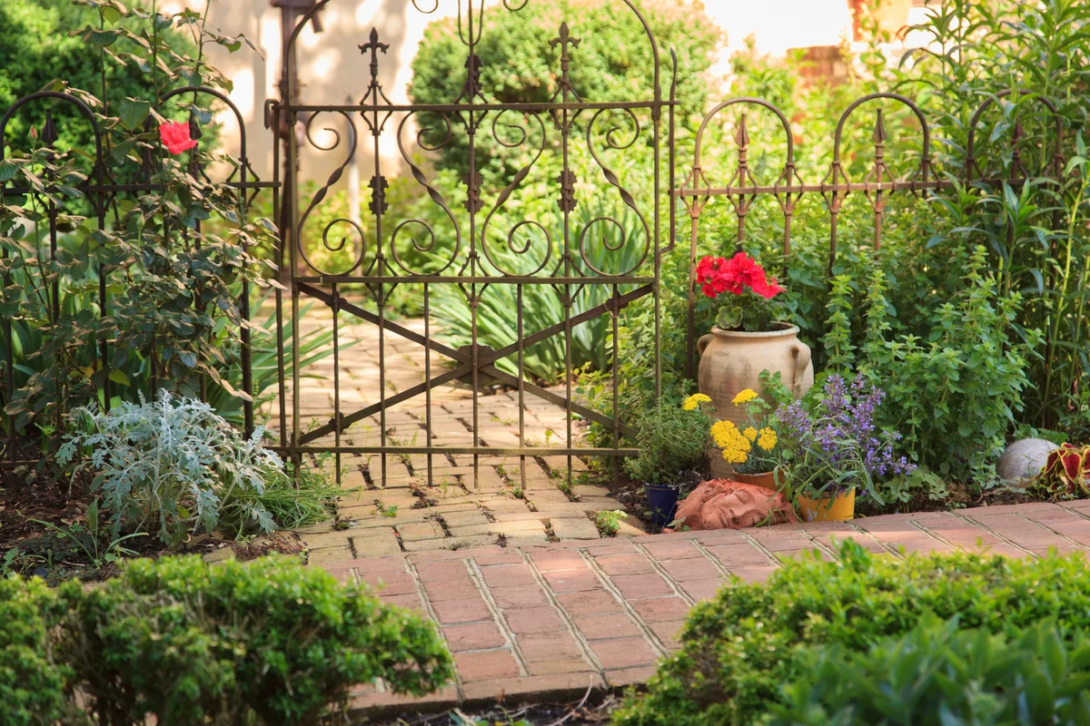 Wrought Iron fence in cottage garden