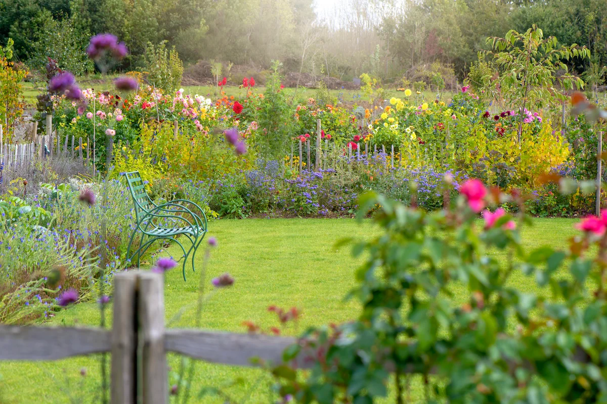 Garden fence lined with beautiful flowers