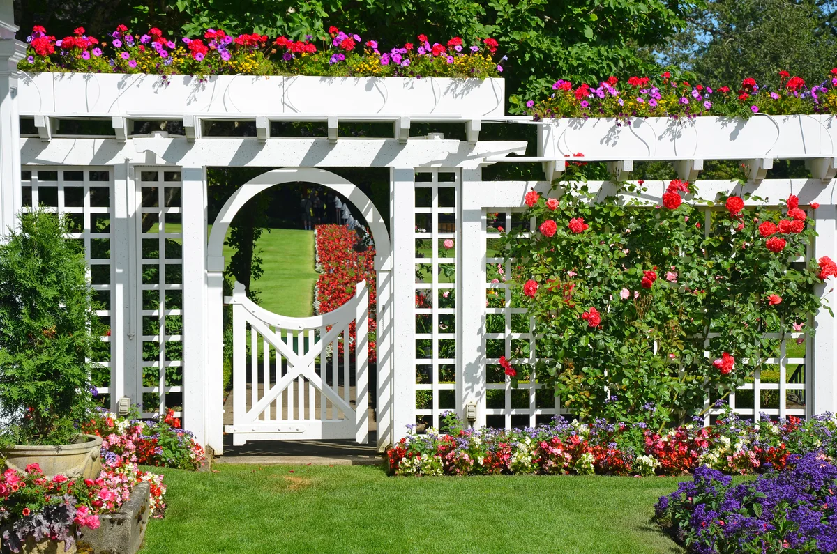 White garden fence and white trellis covered in beautiful flowers